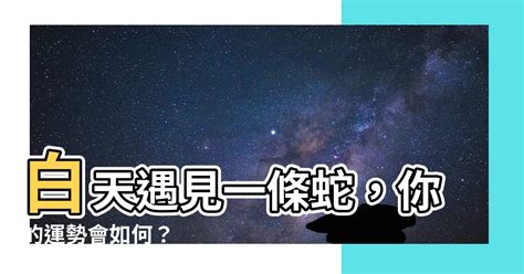 看見蛇|白天看見蛇是什麼兆頭？白天出門遇到蛇有什麼說法。